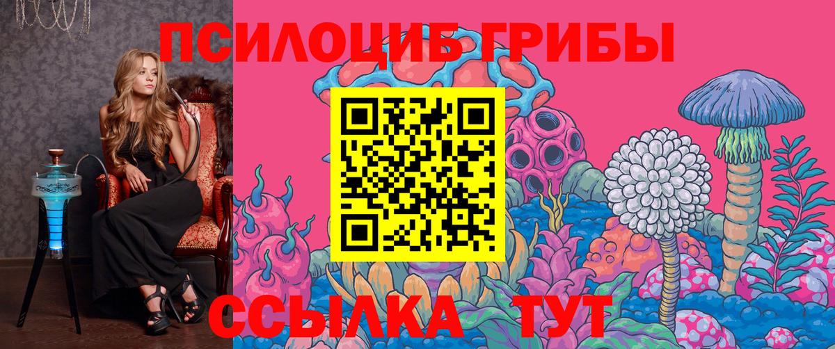 Галлюциногенные грибы Psilocybe  Вход с VPN  Верхняя Пышма 